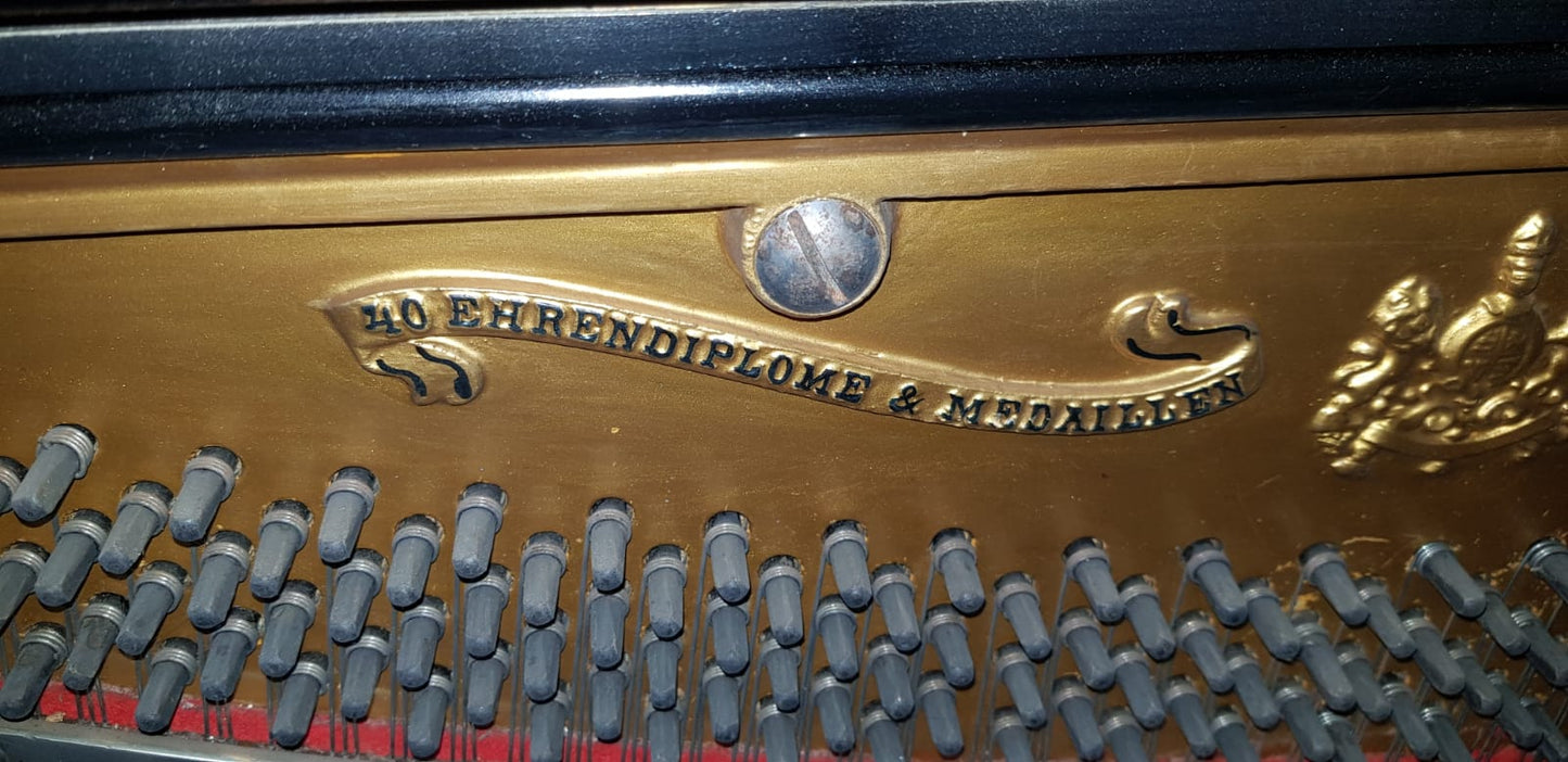 Pianoforte Schiedmayer Fine 800 con tutti i Tasti Funzionanti da accordare