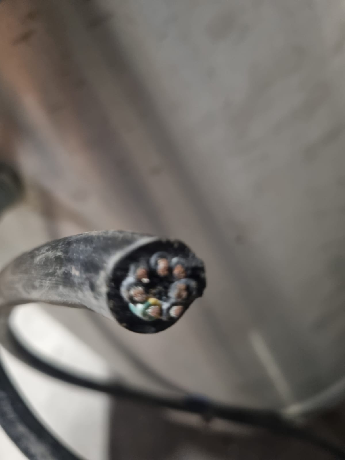 Pelapatate Professionale in Acciaio Nilma Usato
