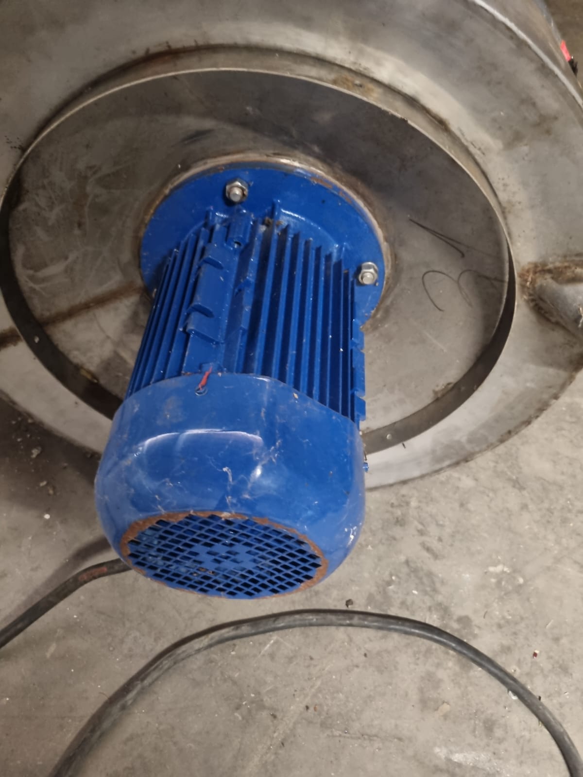 Pelapatate Professionale in Acciaio Nilma Usato