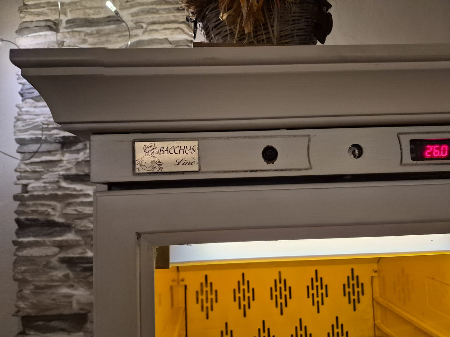 Vetrina Frigo Frigorifero Professionale da Vino o altro Usato