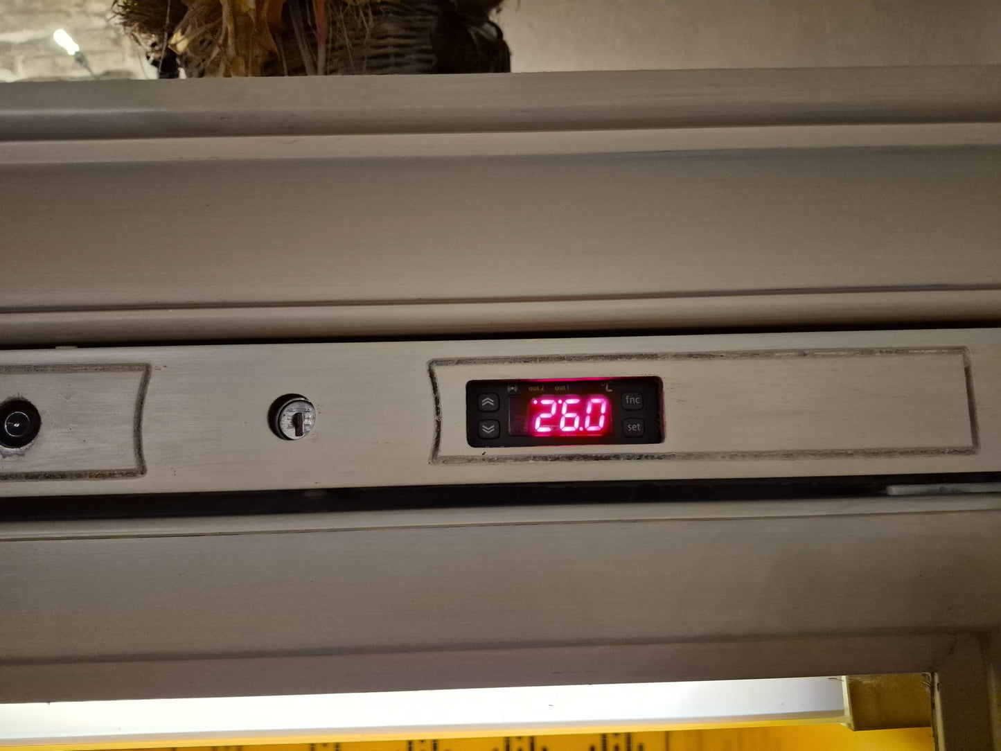Vetrina Frigo Frigorifero Professionale da Vino o altro Usato