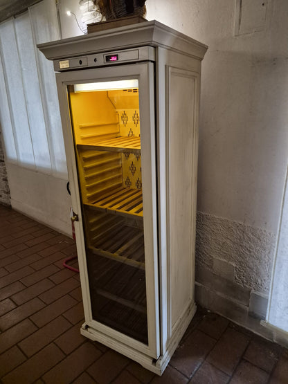 Vetrina Frigo Frigorifero Professionale da Vino o altro Usato